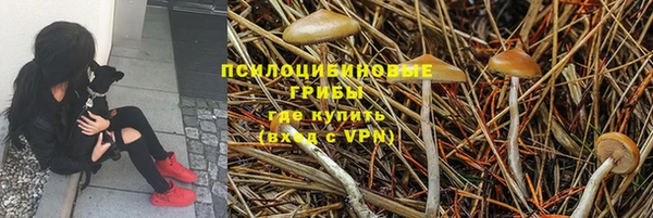 тгк Аркадак