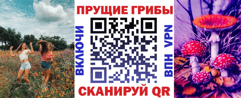 Галлюциногенные грибы прущие грибы  Суджа 