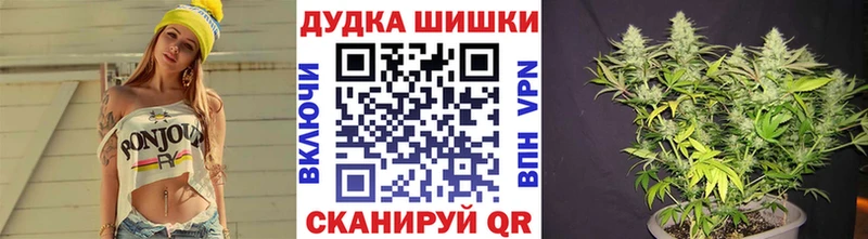 Марихуана OG Kush  Суджа 